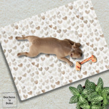 Crème Beige Motif de Cœurs à l'Aquarelle pour Anim