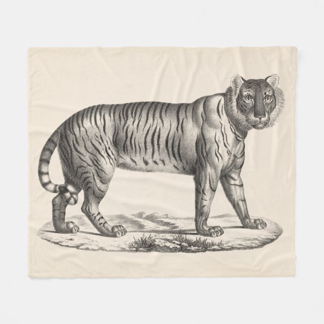 Couverture Polaire Croquis Brodtmann Tiger (Devant (Horizontal))