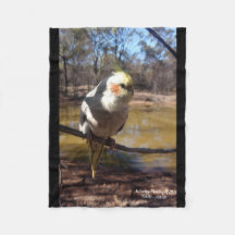 Cuisine Cockatiel Blanket
