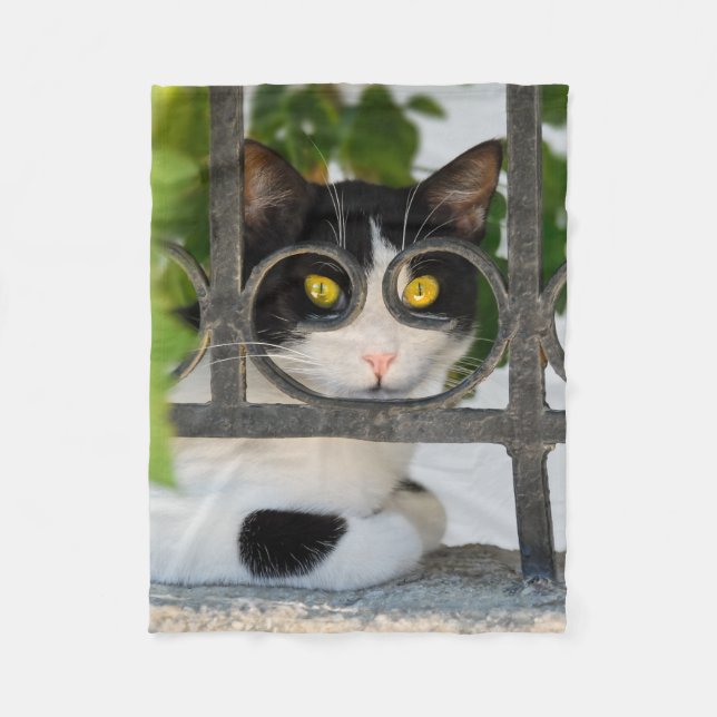 Couverture Polaire Curieux Chat avec cadre Spectacles Amusant - confo (Devant)
