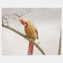 Curious Femme Cardinal Fleece Blanket