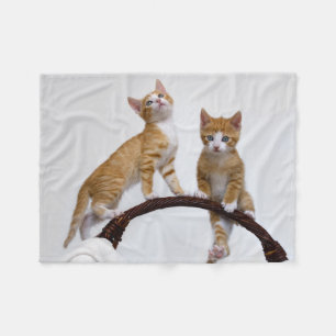 Couverture Polaire Cute Baby Cats Kittens Funny Gym Photo -