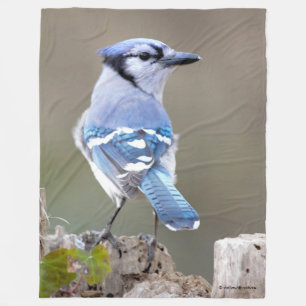 Couverture Polaire Cute Bleu Jay Songbird sur Treestump
