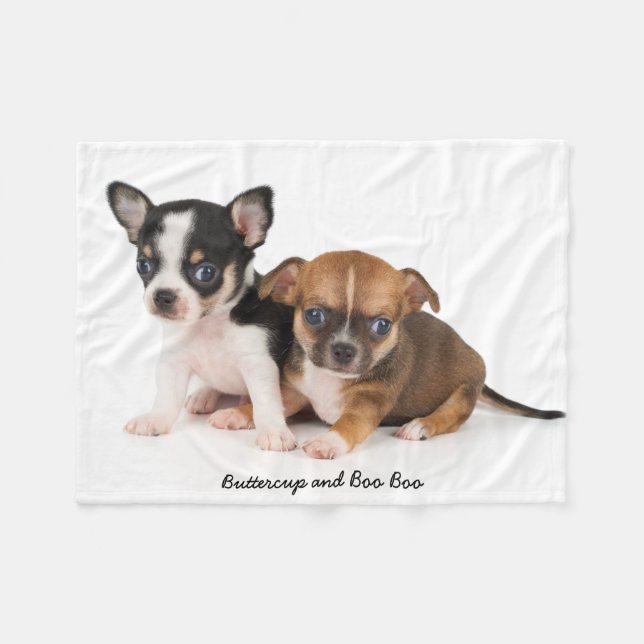 Couverture Polaire Cute Chihuahuas Photo Fleece Blanket (Devant (Horizontal))