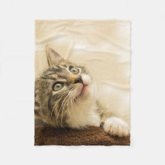 Couverture Polaire Cute Kitten avec une paille étirée