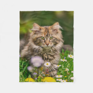 Couverture Polaire Cute Maine Coon Kitten Chat en Fleurs