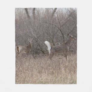 Couverture Polaire D1 Cerfs de Virginie Printemps Brocards dans les B