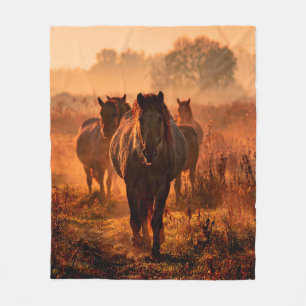 Couverture Polaire des chevaux koniks sauvages qui sont arrivés tout