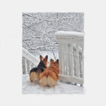 Deux Corgis dans la neige