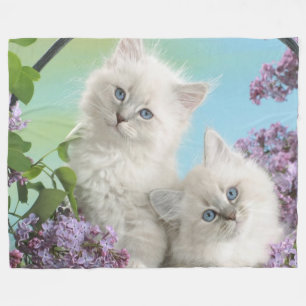 COUVERTURE POLAIRE DEUX CUISINES BLANCHES