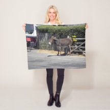 Donkey by the Gate