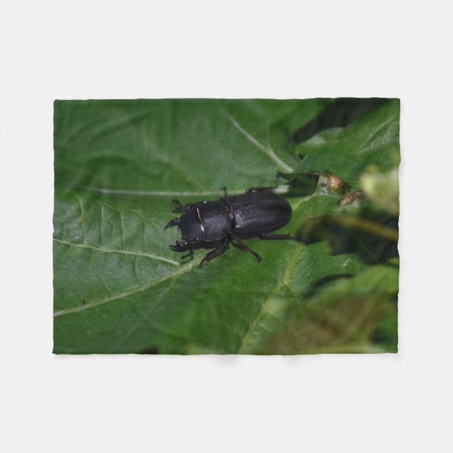 Couverture Polaire Dorcus parallelipipedus, le moindre dendroctone du (Devant (Horizontal))