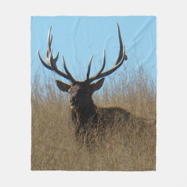 Couverture Polaire E26 Bull Elk Laying in the Weeds (Devant)