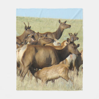 Couverture Polaire E7 Vache Wapiti Allaitant un Veau