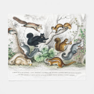 Couverture Polaire Écureuil noir américain, Ariel Petaurus, écureuil
