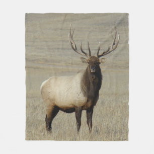 Couverture Polaire Élan mâle E46 Gros Taureau