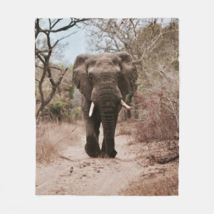 COUVERTURE POLAIRE ÉLÉPHANT NOIR MARCHANT SUR SABLE BROWN