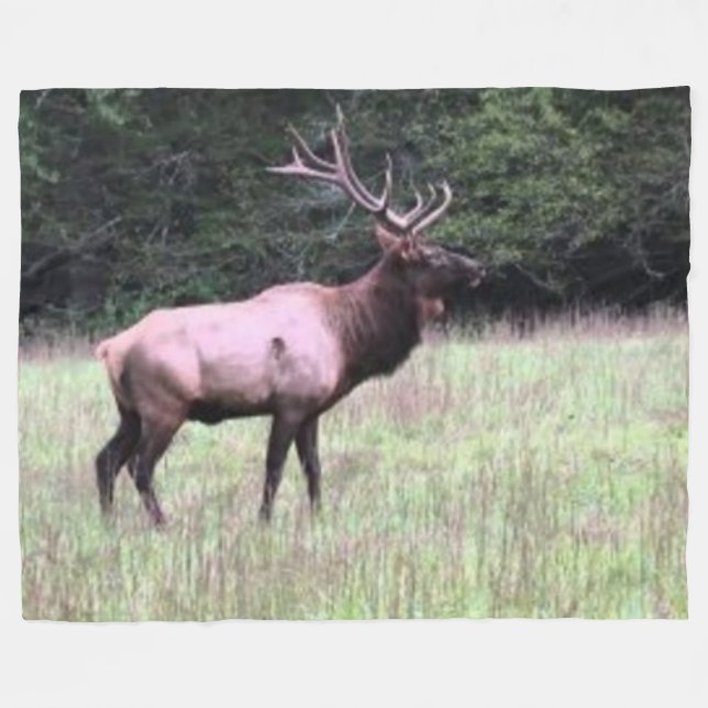 COUVERTURE POLAIRE ELK MAJESTIQUE (Devant (Horizontal))