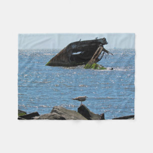 Couverture Polaire Épave du cap May