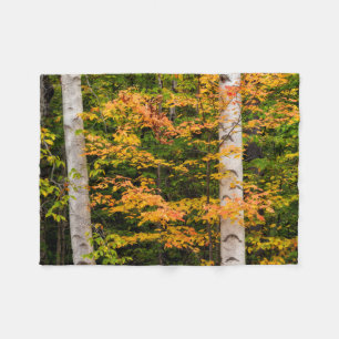 Couverture Polaire Érable et bouleau blanc   White Mountains, NH