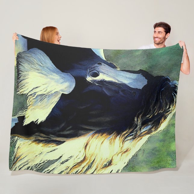 Couverture Polaire Étalon de Vanner tzigane/cheval, pinto noir et bla (En situation)