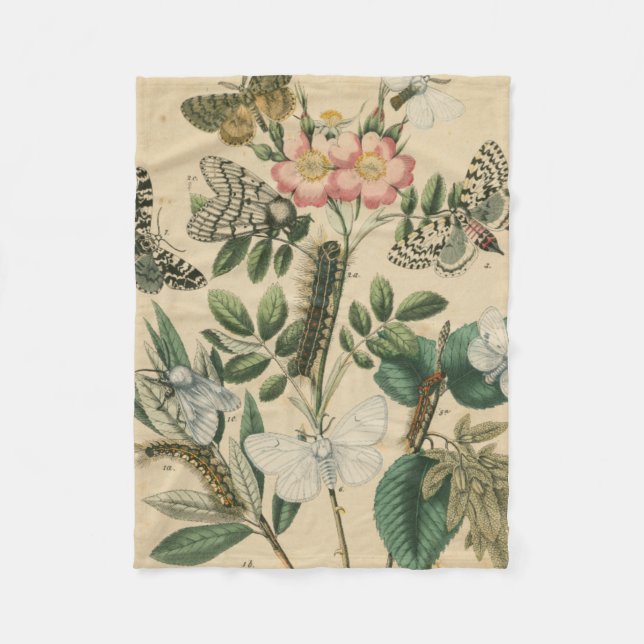 Couverture Polaire Étapes de la vie de papillon par le studio de (Devant)