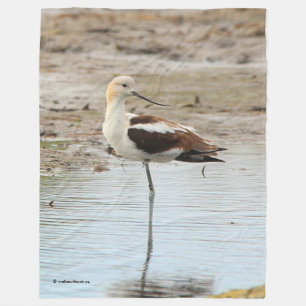 Couverture Polaire Étonnant oiseau à pattes à la plage américain Avoc