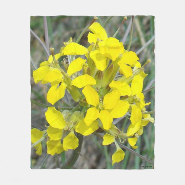 Couverture Polaire F14 Fleurs sauvages jaunes (Devant)