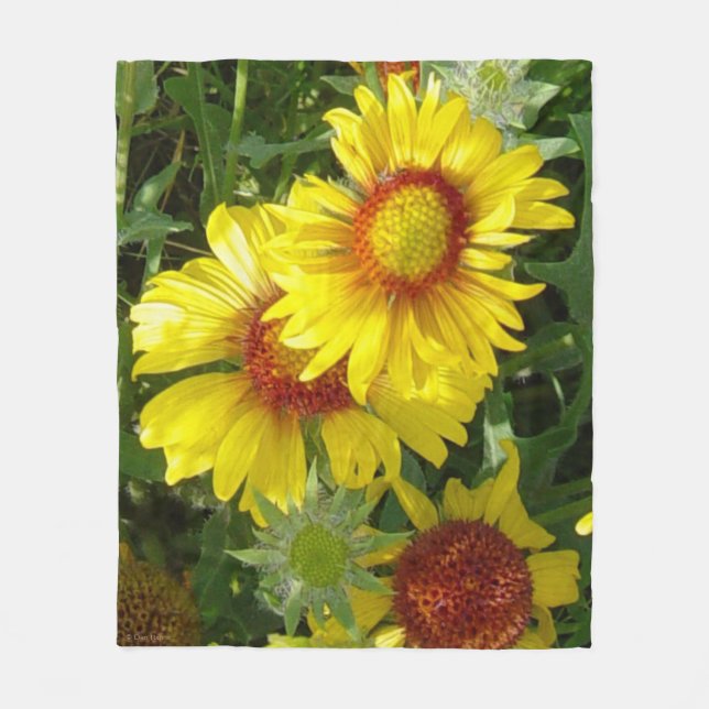 Couverture Polaire F6 Fleurs sauvages jaunes Gaillardia (Devant)