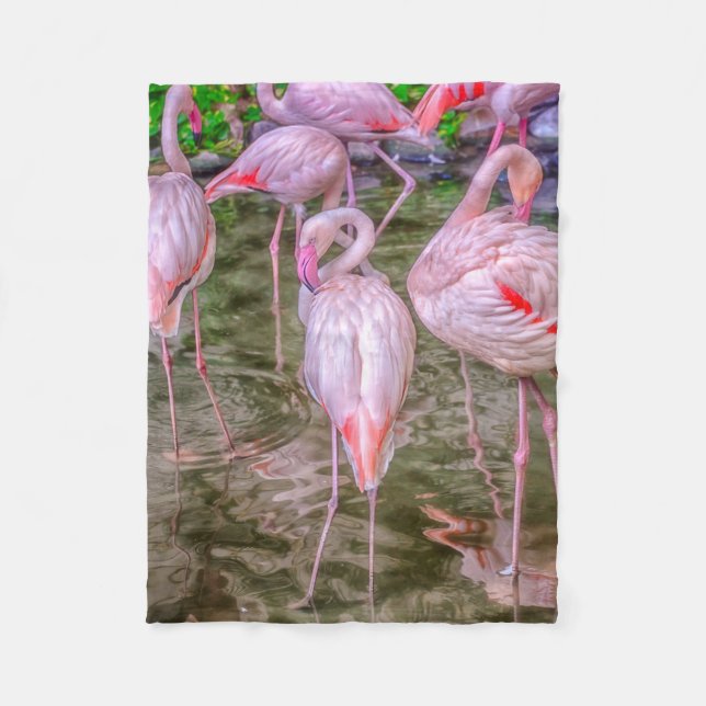 Couverture Polaire Flamants roses roses (Devant)