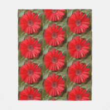 Fleur botanique de marguerite orange