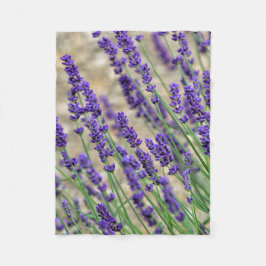 Couverture Polaire Fleurs de lavande