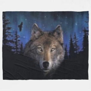 COUVERTURE POLAIRE FLUX