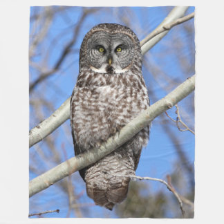 Couverture Polaire Focalisé