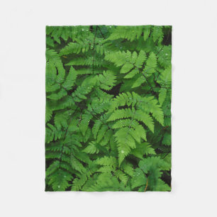 Couverture Polaire Fougère bracken avec gouttes de pluie, État de Was