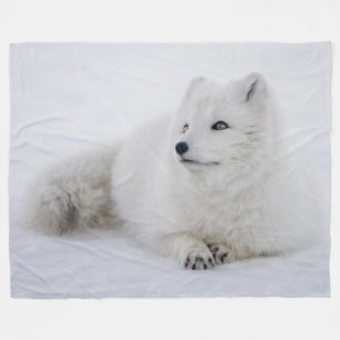COUVERTURE POLAIRE FOX ARTIQUE
