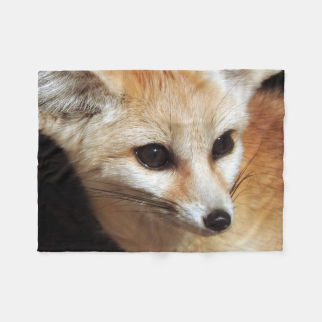 Couverture Polaire Fox de Fennec (Devant (Horizontal))