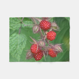 Couverture Polaire Framboises sauvages