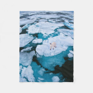 Couverture Polaire Glace et neige Ours polaire, Océan Arctique, Sva