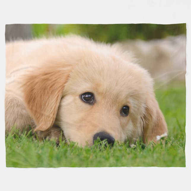 Couverture Polaire Golden Retriever mignon Chiot Dreg Portrait (Devant (Horizontal))