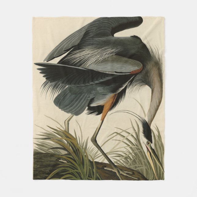 Couverture Polaire Grand héron bleu des oiseaux d'Amérique d'Audubon (Devant)
