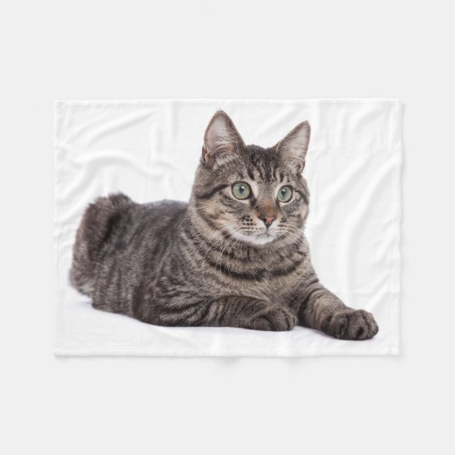 Couverture Polaire Gray Tabby Cat (Devant (Horizontal))