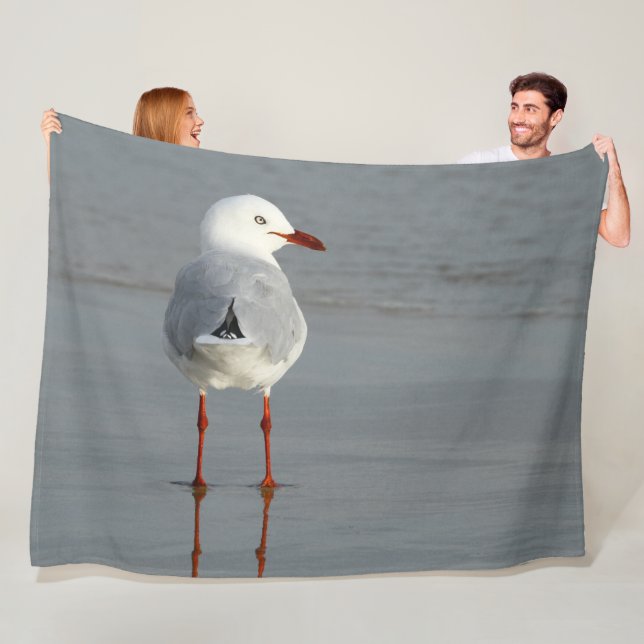 COUVERTURE POLAIRE GULL D'ARGENT (En situation)