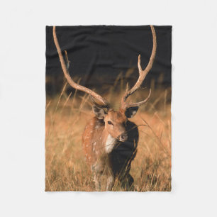 Couverture Polaire Habitat naturel du chital   Parc national de Bandh