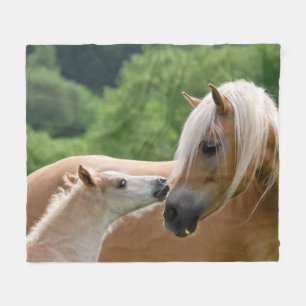 Couverture Polaire Haflinger Horses Foal et Mare bouddhisme, confort