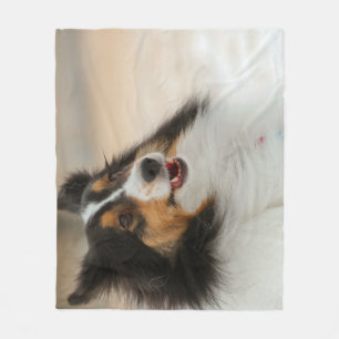 Couverture Polaire Happy Shelty Baby Blanket