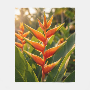 Couverture Polaire Heliconia Orange Tropical Fleur Heure Dorée 