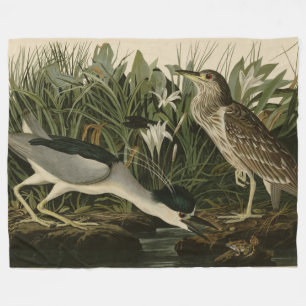 Couverture Polaire Héron de nuit, Qua Bird, Audubon's Birds of Americ