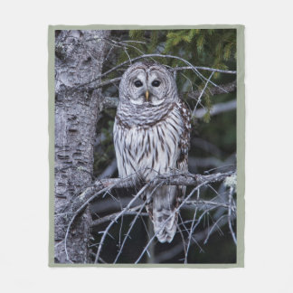 Couverture Polaire Hibou barré