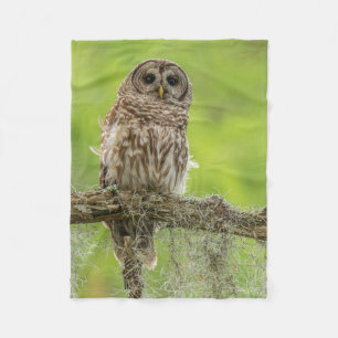 Couverture Polaire Hibou rayé sur branche d'arbre